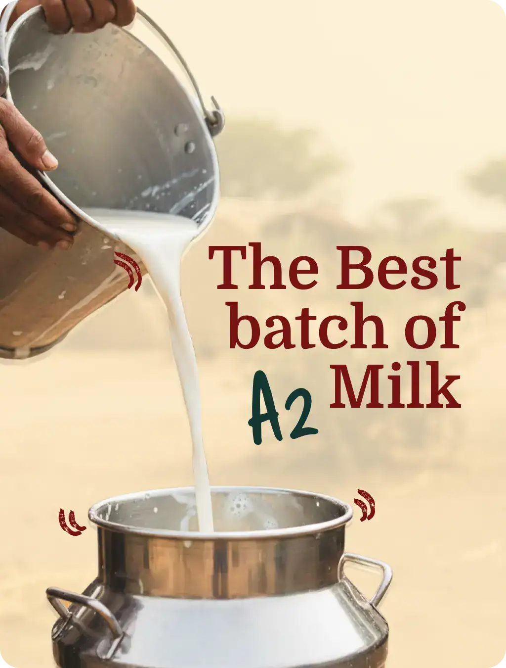 Traditional Bilona ghee quality detail