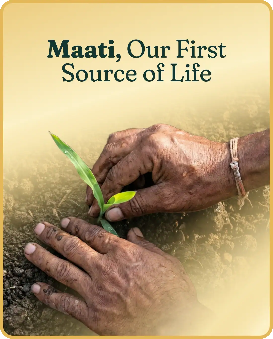 Maati Naturals traditional Bilona process